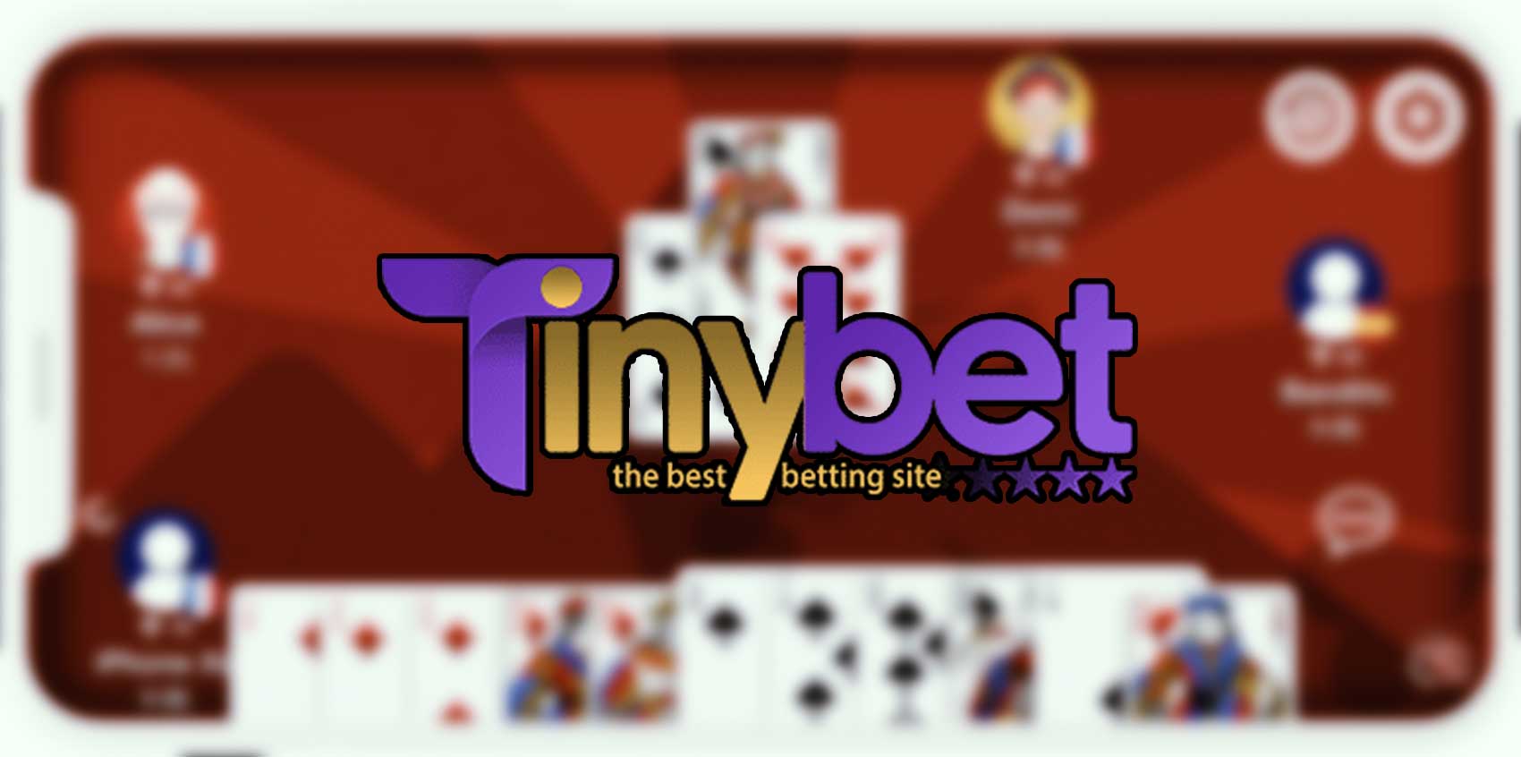 سایت شرط بندی تاینی بت (Tinybet)